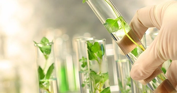 Bitki Islahı Nedir ve Nasıl Yapılır? Bitki Islahı Nedir ve Nasıl Yapılır?