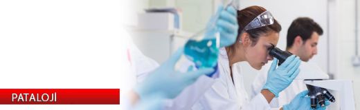 Patolojinin Bölümleri