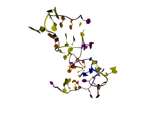 Aptamer Özellikleri ve Faydaları Nelerdir?