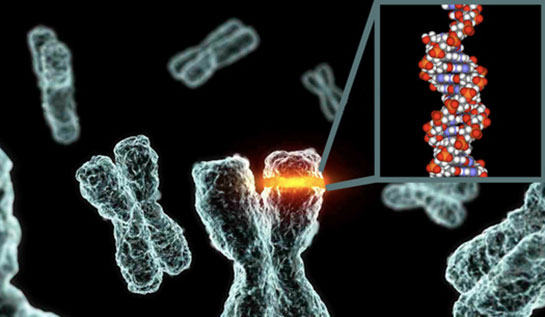 Biyofizik Özellikleri ve Faydaları Nelerdir?