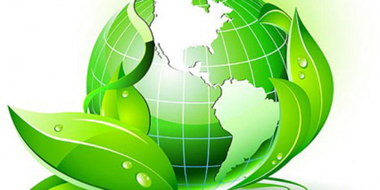 Biyokütle Özellikleri ve Faydaları Nelerdir?