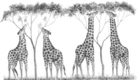 Doğal Seçilim Özellikleri ve Faydaları Nelerdir?