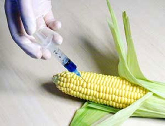 Gen Aktarımı Teknikleri ve Yöntemleri