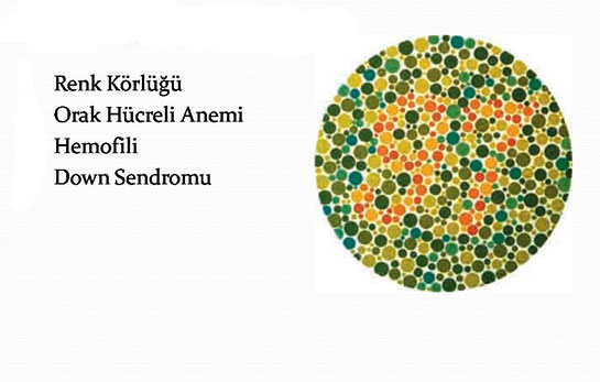 Genetik Hastalıklar Nelerdir?