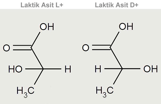 Laktik Asit Özellikleri ve Faydaları Nelerdir?
