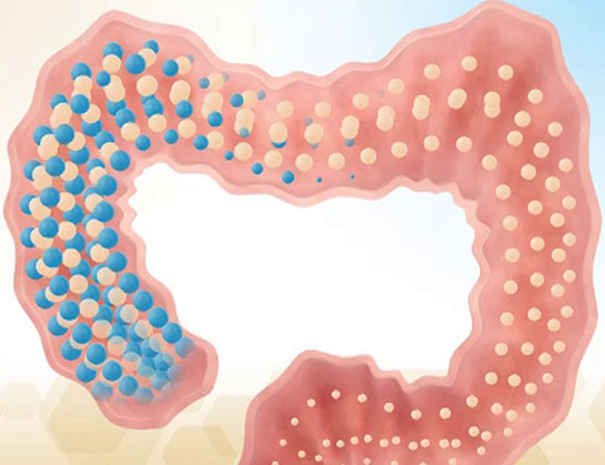 Prebiyotik Özellikleri ve Faydaları Nelerdir?
