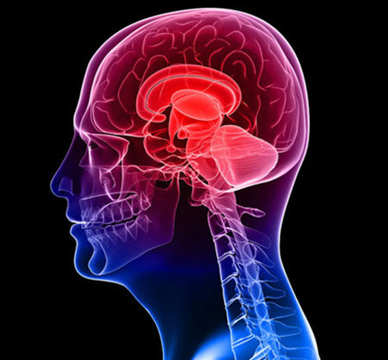 Psikofizik Özellikleri ve Faydaları Nelerdir?
