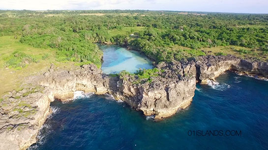 Sumba Özellikleri ve Faydaları Nelerdir?