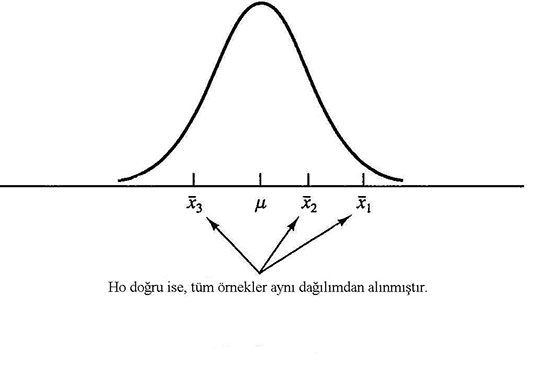Varyans Özellikleri ve Faydaları Nelerdir?