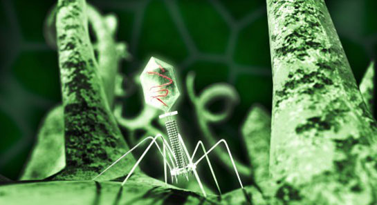 Viroloji Özellikleri ve Faydaları Nelerdir?