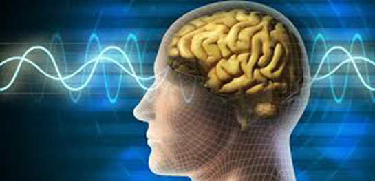 Zeka Özellikleri ve Faydaları Nelerdir?